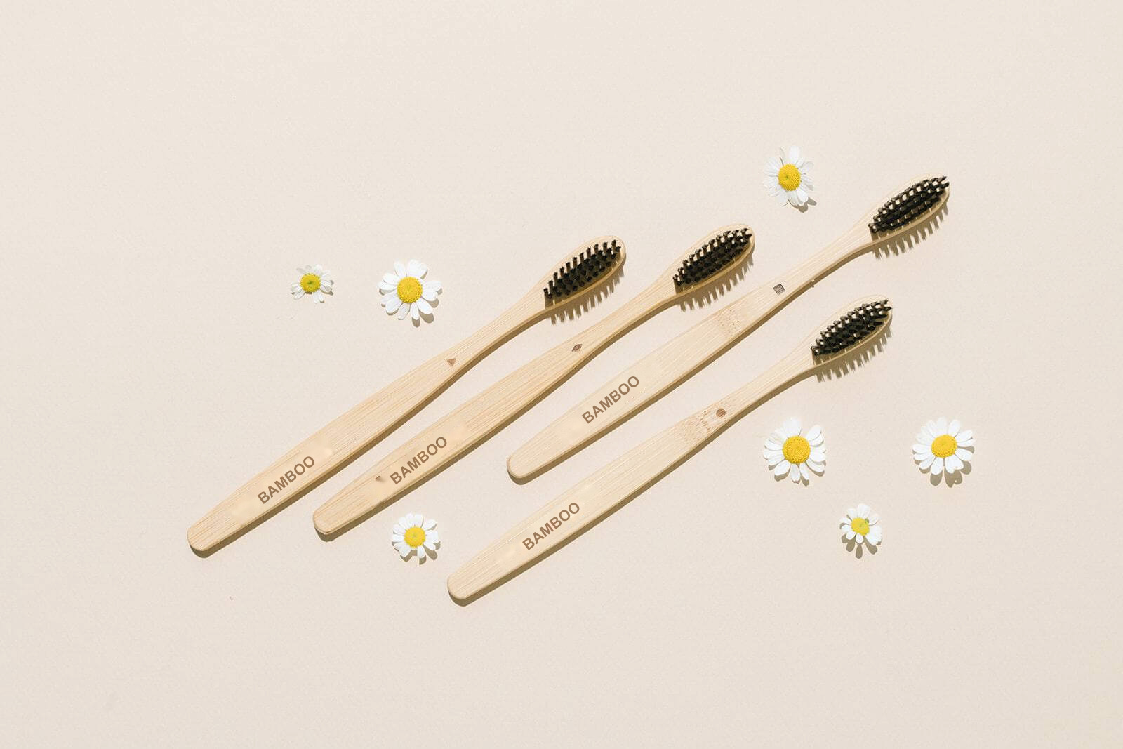 Bamboo Toothbrush Set